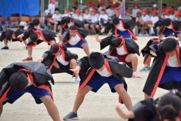 ソーラン節の魅力を引き立てる法被の選び方ガイド