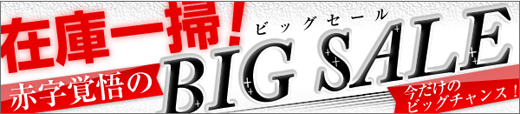 大特価衣装