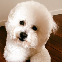 店長からのご挨拶